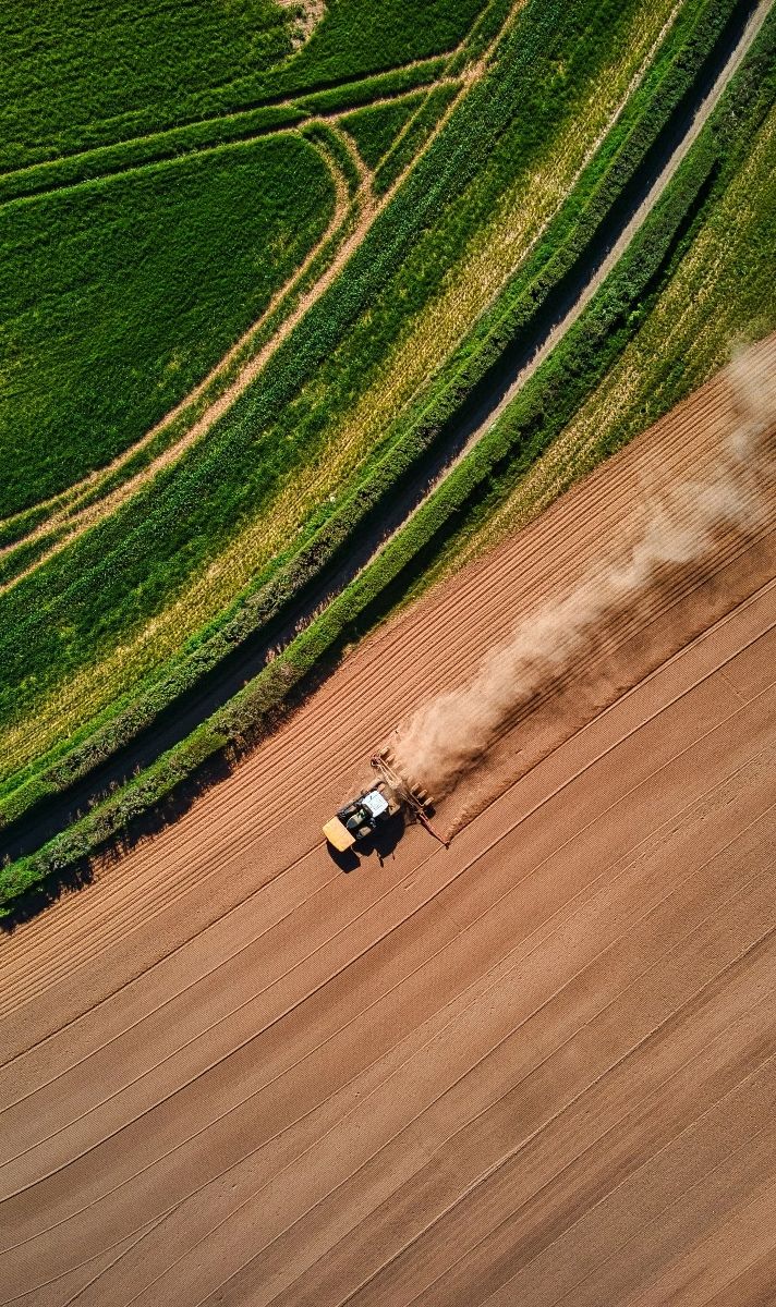 Natural Capital